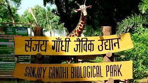 संजय गांधी बायोलॉजिकल पार्क